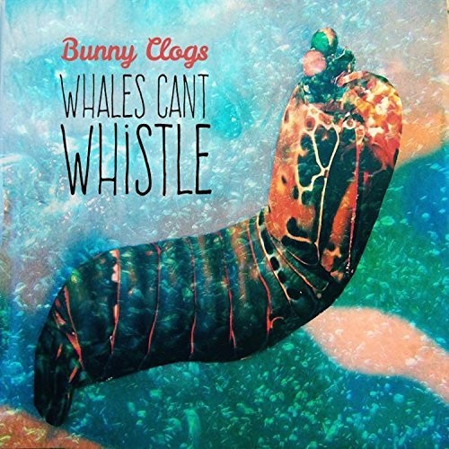 the album cover for Bunny Clogs - Whales Can't Whistle