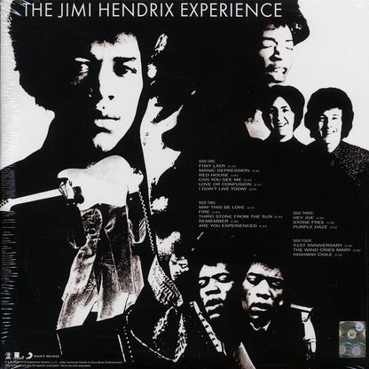 The Jimi Hendrix Experience Are You Experienced Vinyl Record