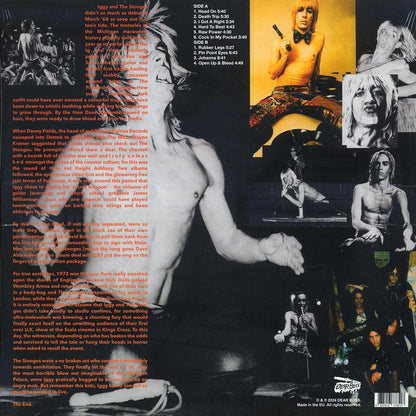 The Stooges Keep Me Safe, Keep Me Sane: Rare Tracks 1972 Vinyl Record