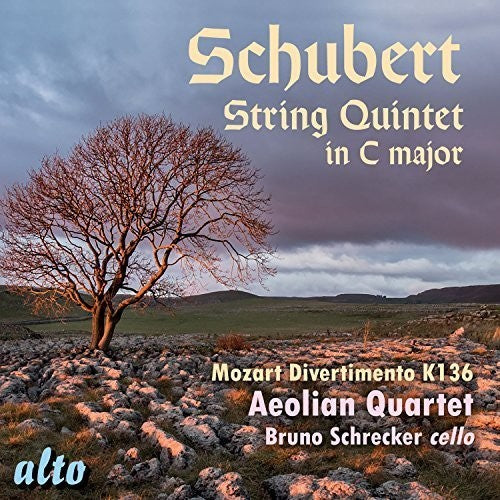 Schubert / Mozart / Aeolian Quartet / Schrecker - String Quintet In C Major / Divertimento In D - Music CD