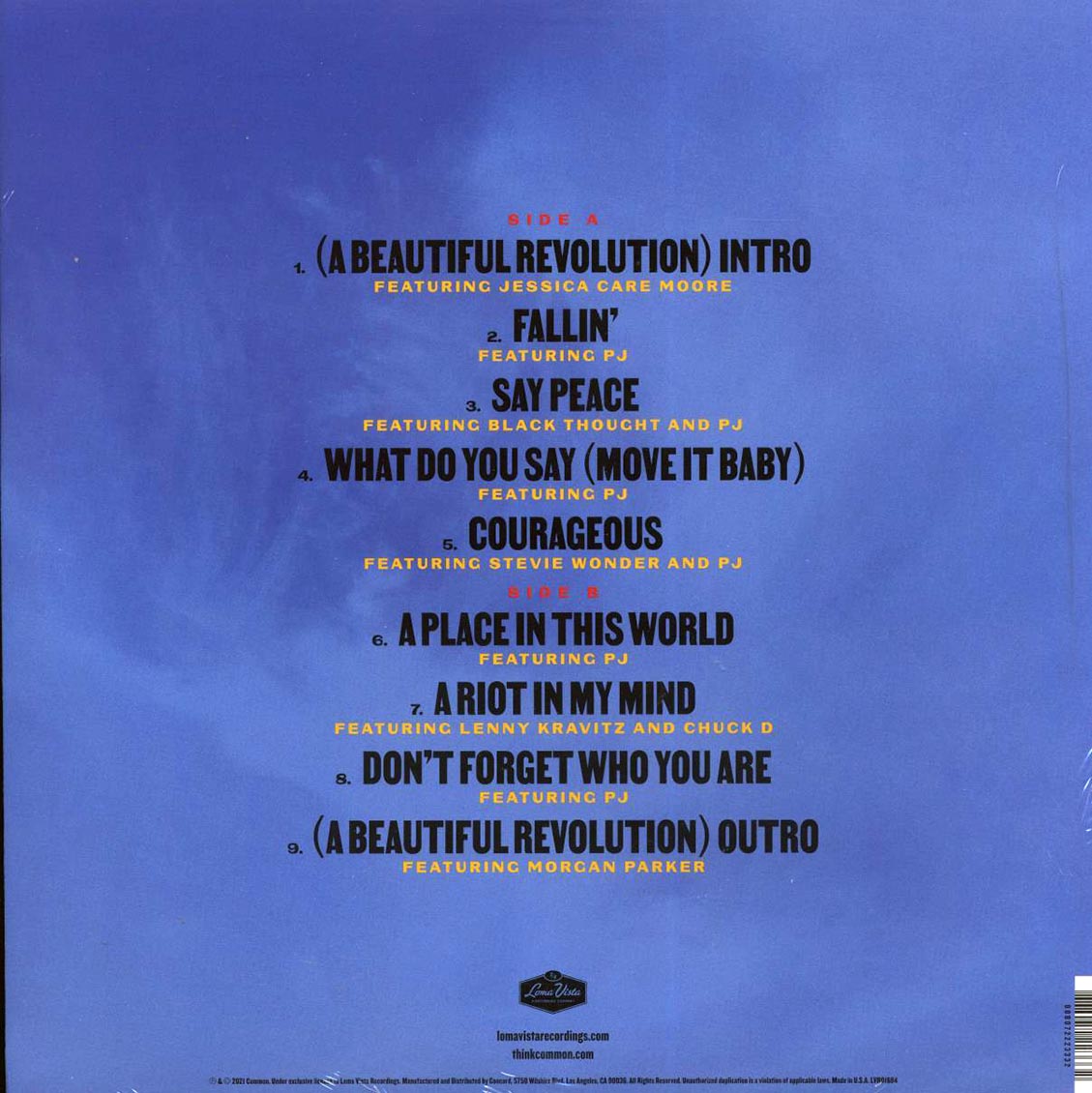Common - A Beautiful Revolution Part 1 Vinyl Record