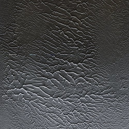 Homesick [LP] Vinyl Record