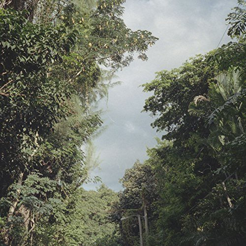 Nelson,zac - New Once - Vinyl Record
