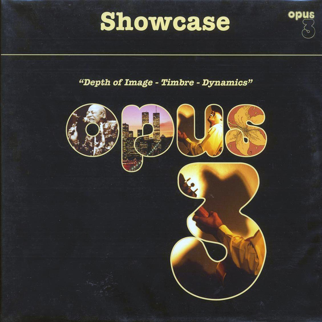 Taj Mahal, Eric Bibb, Benny Waters, Etc. - Showcase Vinyl Record