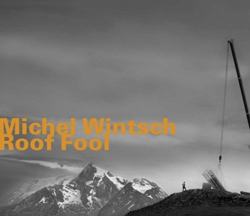 the album cover for Wintsch, Michel - Roof Fool