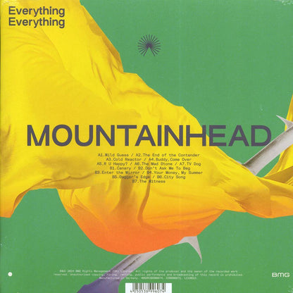 Everything Everything - Mountainhead Vinyl Record