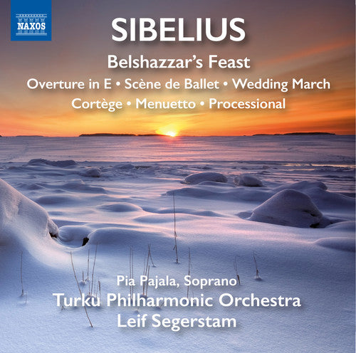 the album cover for Sibelius / Turku Philharmonic Orchestra - Orchestral Works