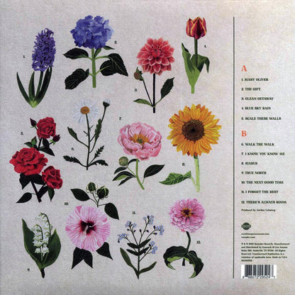 Caroline Spence - True North Vinyl Record
