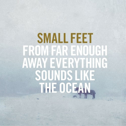 Small Feet - From Far Enough Away Everything Sounds Like - Music CD