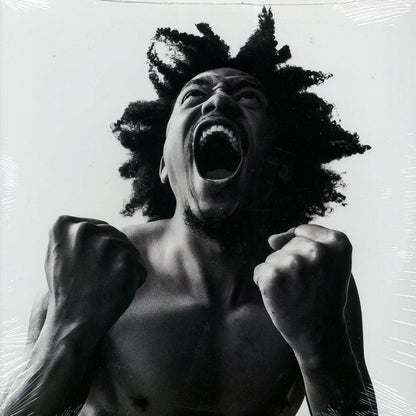 Bobby Sessions - Manifest Vinyl Record