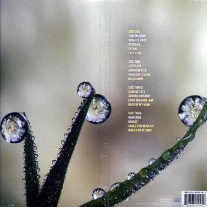 Matthew Sweet - Sunshine Lies (2xLP) (incl. CD) Vinyl Record