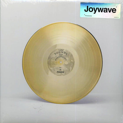 Joywave - Possession (clear vinyl) Vinyl Record