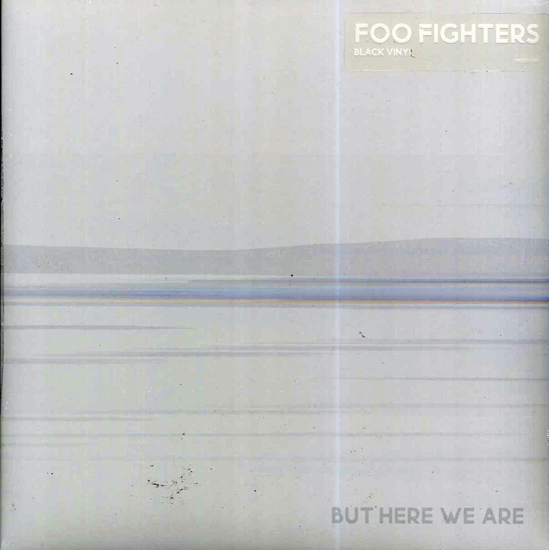 Foo Fighters - But Here We Are Vinyl Record
