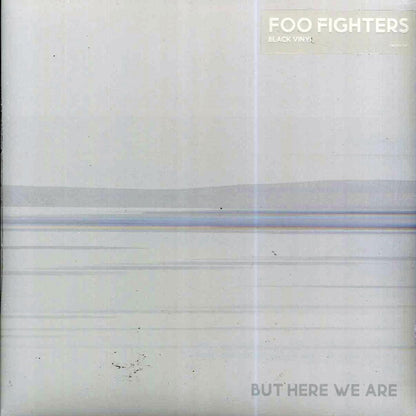 Foo Fighters - But Here We Are Vinyl Record