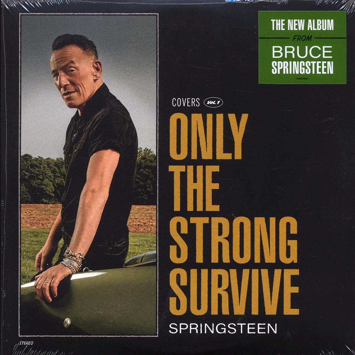 Bruce Springsteen - Only The Strong Survive (2xLP) Vinyl Record