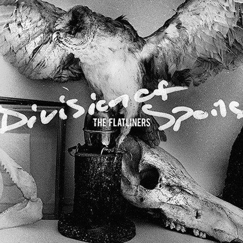 Division of Spoils Music CD