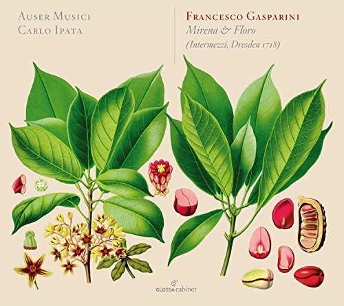Gasparini / Auser Musici / Ipata - Mirena & Floro - Music CD