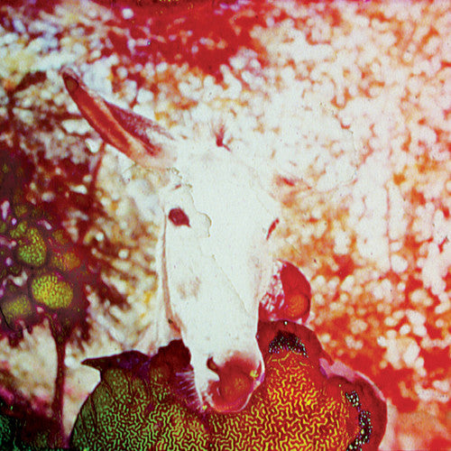 the album cover for Jerusalem In My Heart - If He Dies, If If If If If If