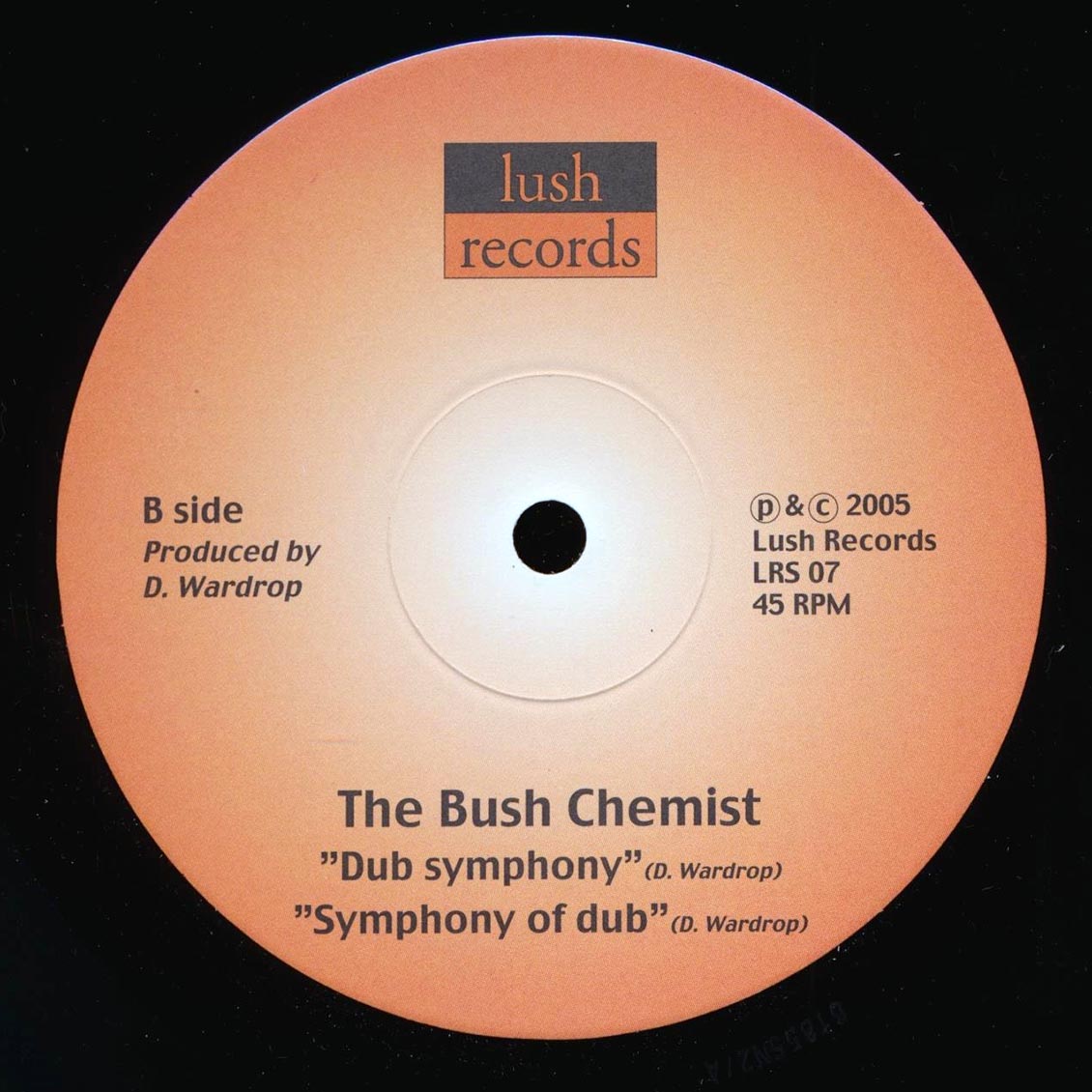 Kenny Knots, Bush Chemists - Up There;  Up There Dub  /  Bush Chemists - Dub Symphony;  Symphony Of Dub 10" Vinyl Record
