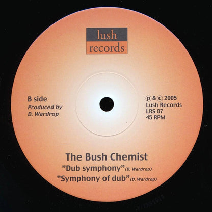 Kenny Knots, Bush Chemists - Up There;  Up There Dub  /  Bush Chemists - Dub Symphony;  Symphony Of Dub 10" Vinyl Record