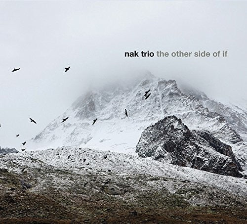 Nak Trio - Other Side Of If - Music CD