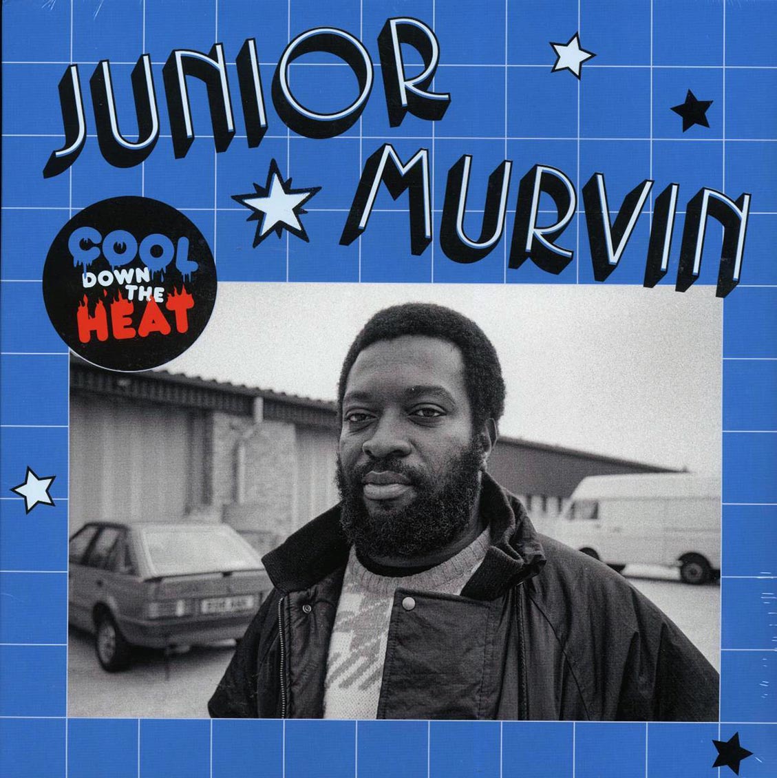 Junior Murvin - Cool Down The Heat Vinyl Record