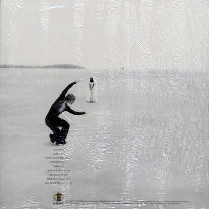 Joni Mitchell - Hejira (silver vinyl) (remastered) Vinyl Record