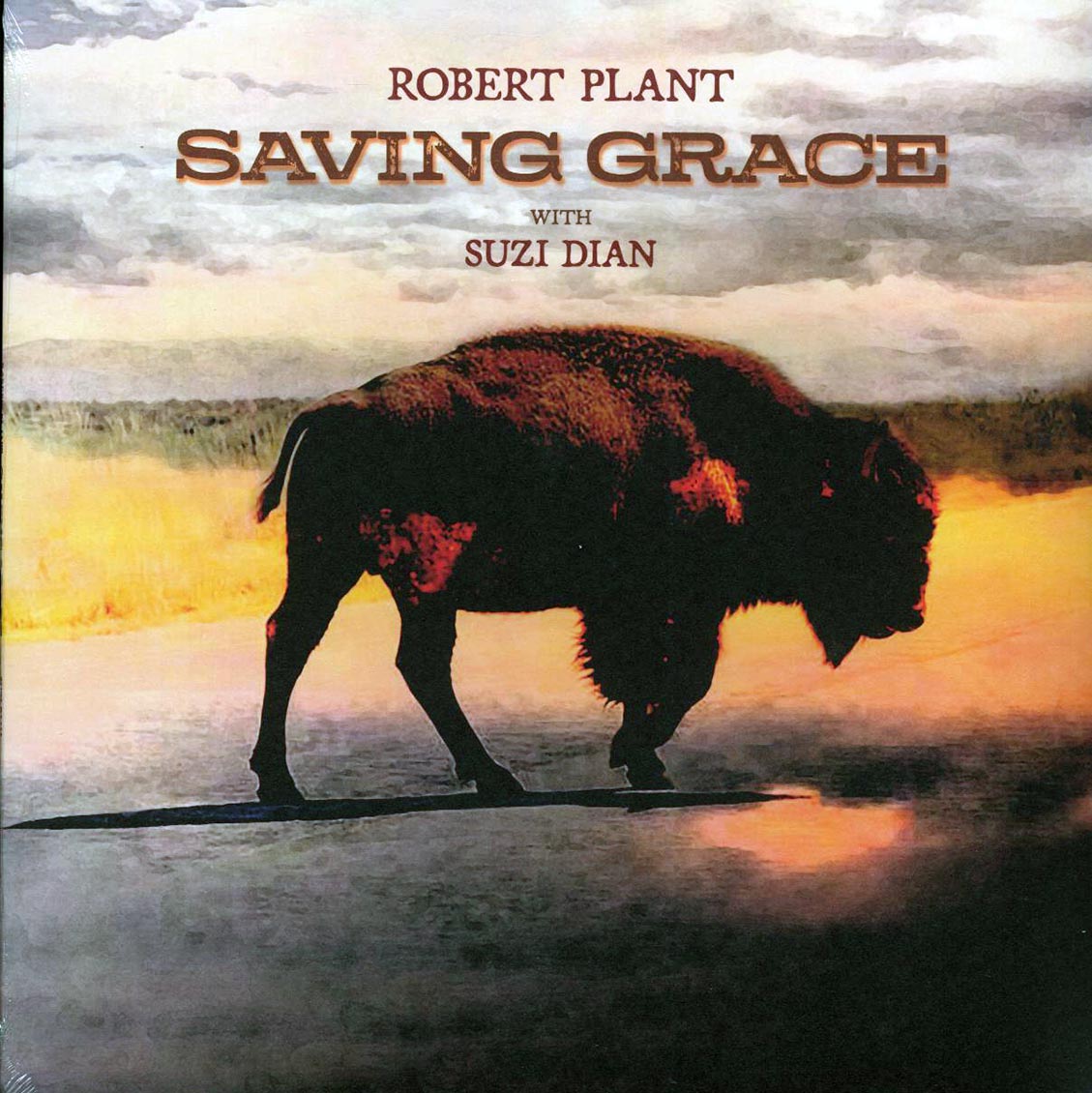 Robert Plant, Suzi Dian - Saving Grace Vinyl Record