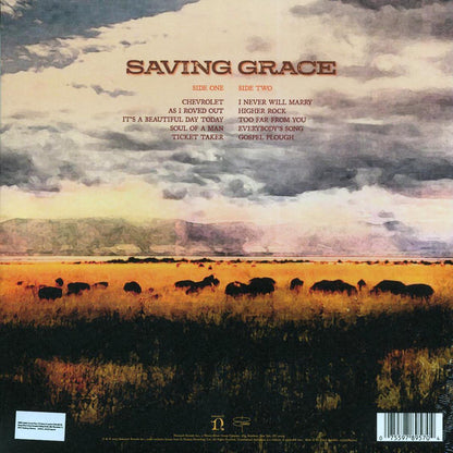 Robert Plant, Suzi Dian - Saving Grace Vinyl Record