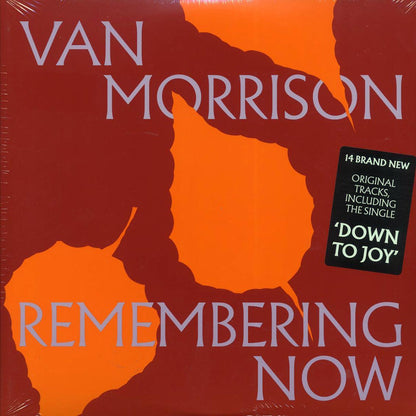 Van Morrison - Remembering Now (2xLP) Vinyl Record
