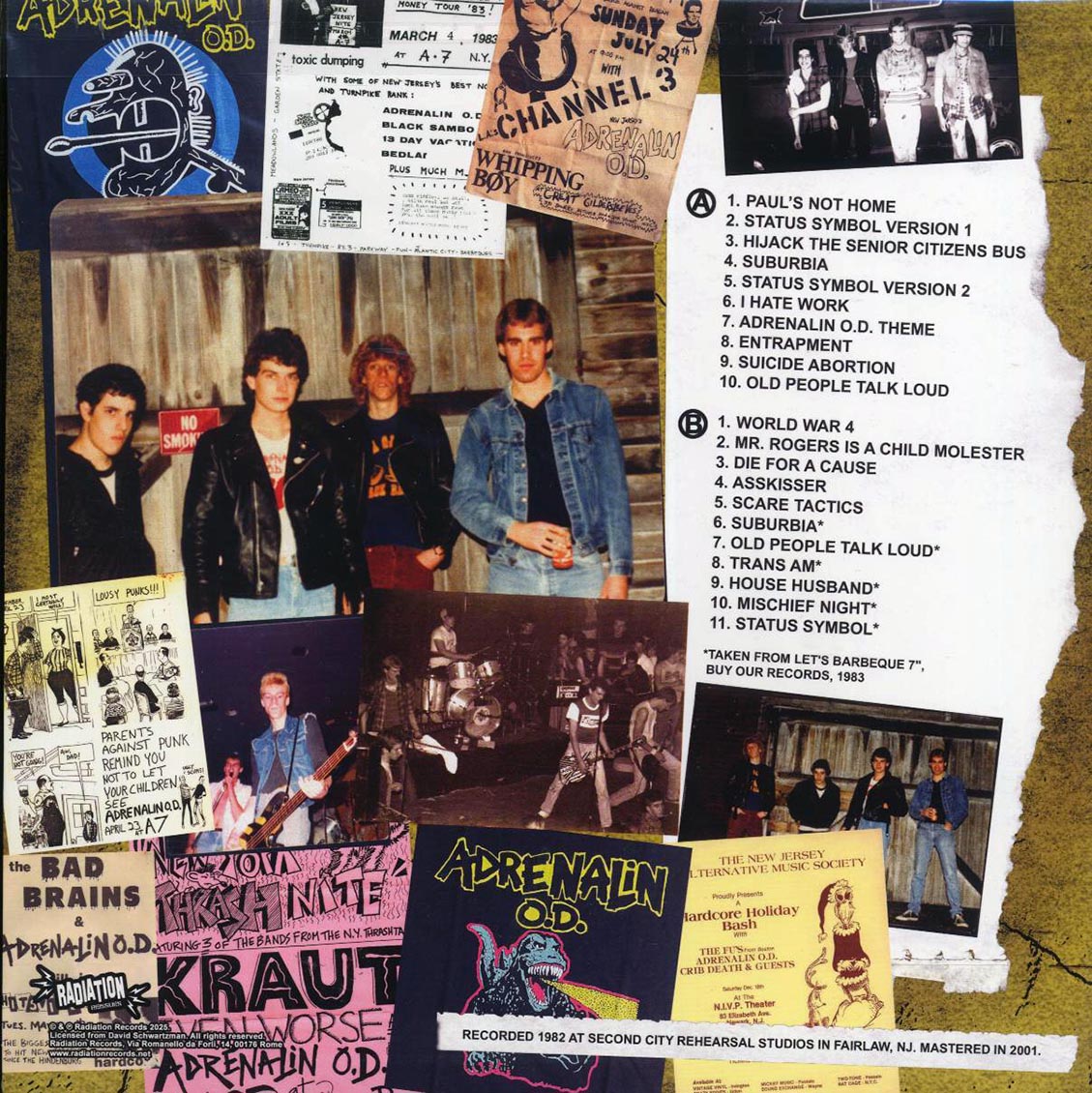 Adrenalin OD - The Barbeque Years: Rare & Unreleased 1982 Demos (ltd. ed.) (orange vinyl) (remastered) Vinyl Record