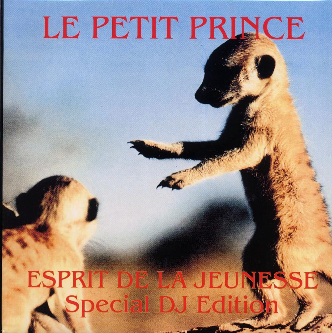 Nitro, Microwave Prince, Cologne Summer, RMB, Etc. - Esprit De La Jeunesse Special DJ Edition (1994 ORIGINAL PRESS) (orig. press) Vinyl Record