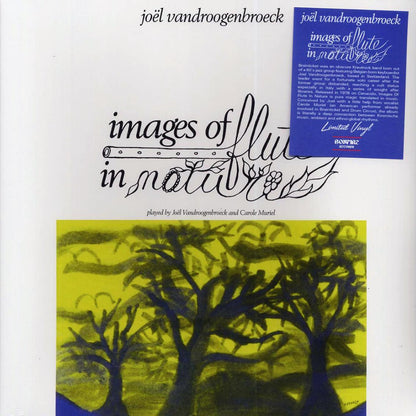 Joel Vandroogenbroeck - Images Of Flute In Nature Vinyl Record