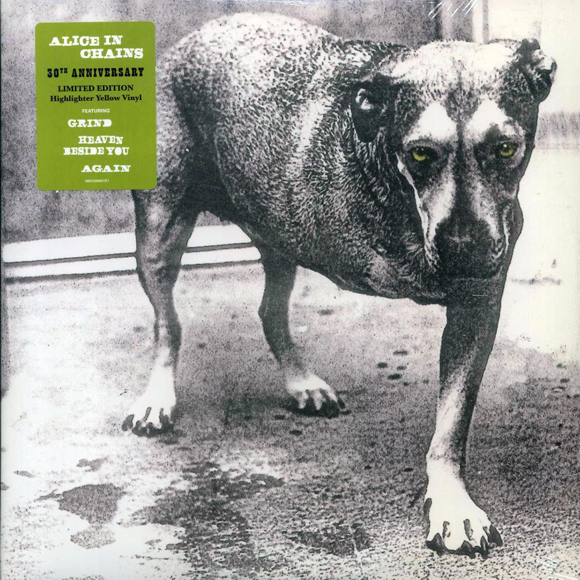 Alice In Chains - Alice In Chains (30th Anniv. Ed.) (ltd. ed.) (2xLP) (yellow vinyl) Vinyl Record