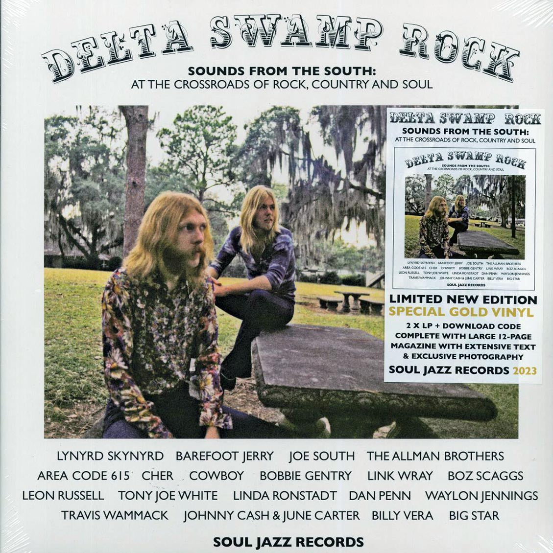 Lynyrd Skynyrd, Barefoot Jerry, The Allman Brothers, Link Wray, Dan Penn, Etc. - Delta Swamp Rock: Sounds From The South At The Crossroads Of Rock, Country And Soul (2xLP) Vinyl Record