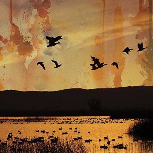 Stellar Descent - Fading - Music CD