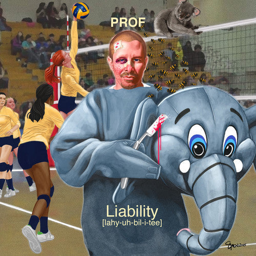 Liability Music CD