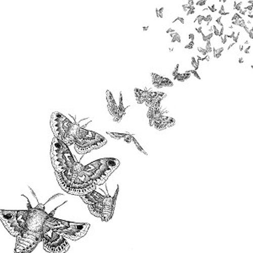 the album cover for Des Ark - Everything Dies