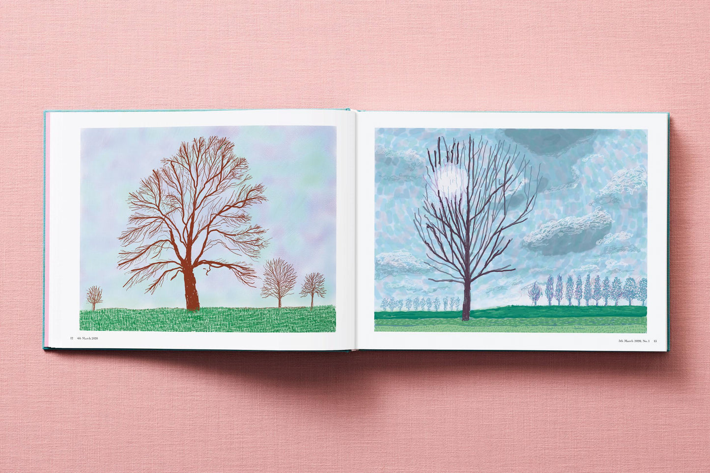 David Hockney. 220 for 2020 (English) Book