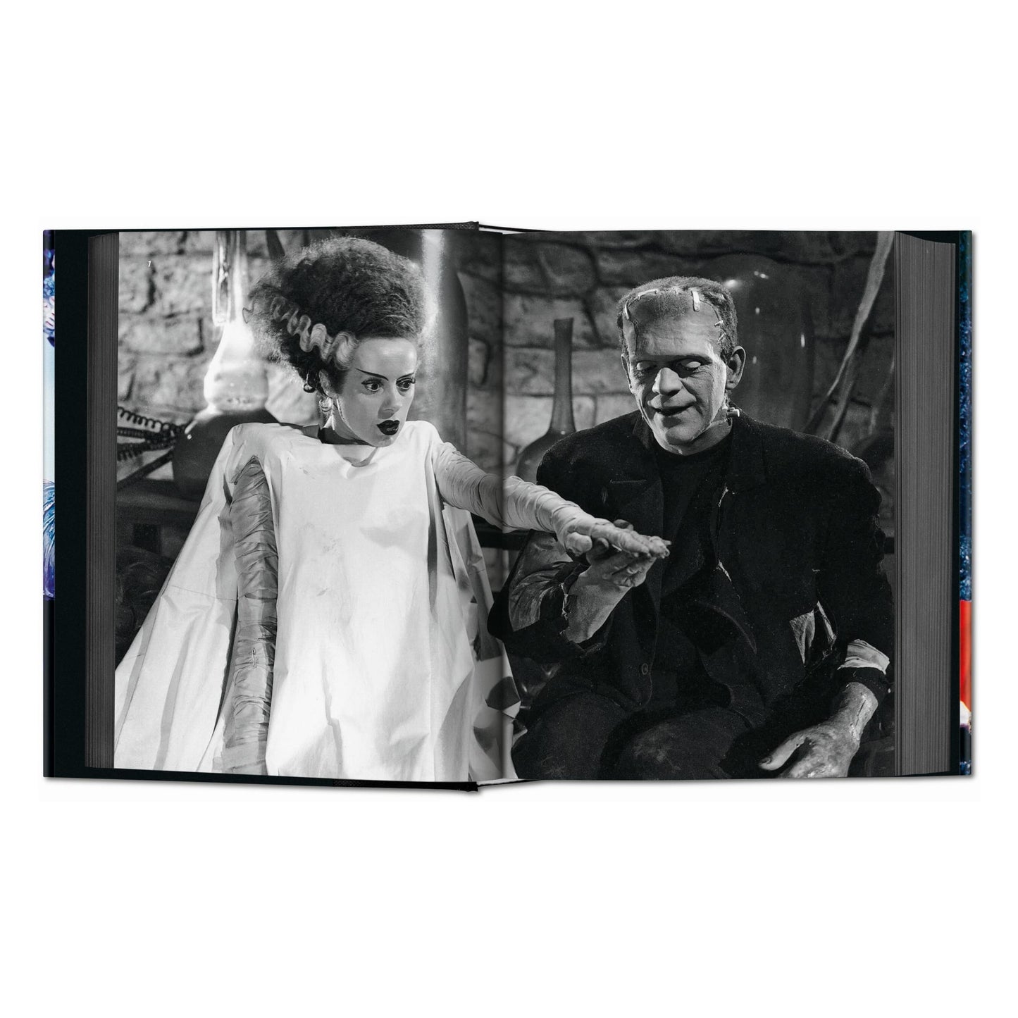 Horror Cinema (English) Book