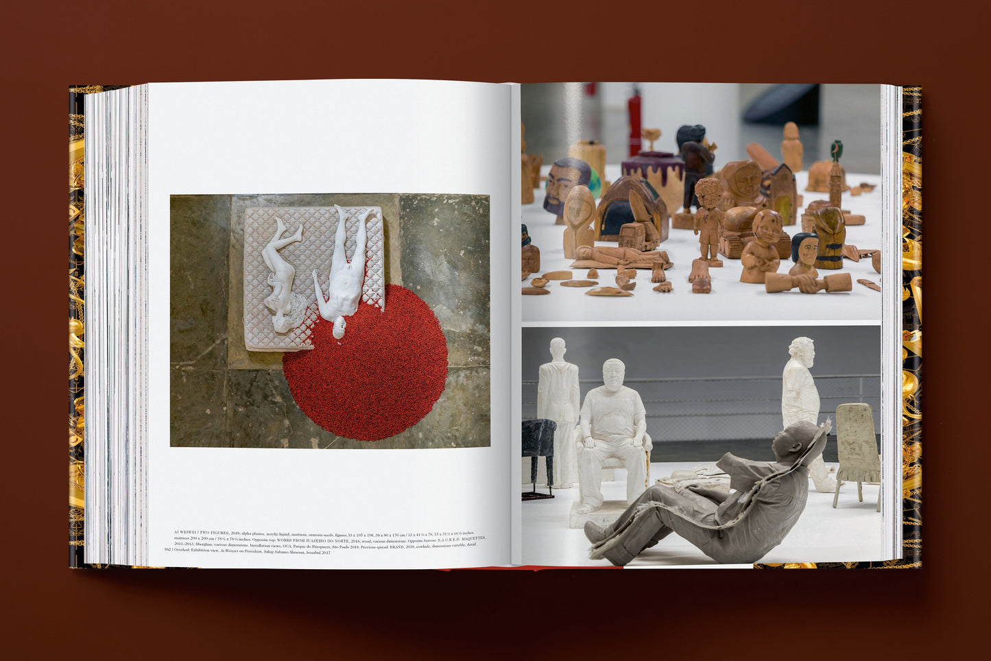 Ai Weiwei. Updated Edition (German, French, English) Book