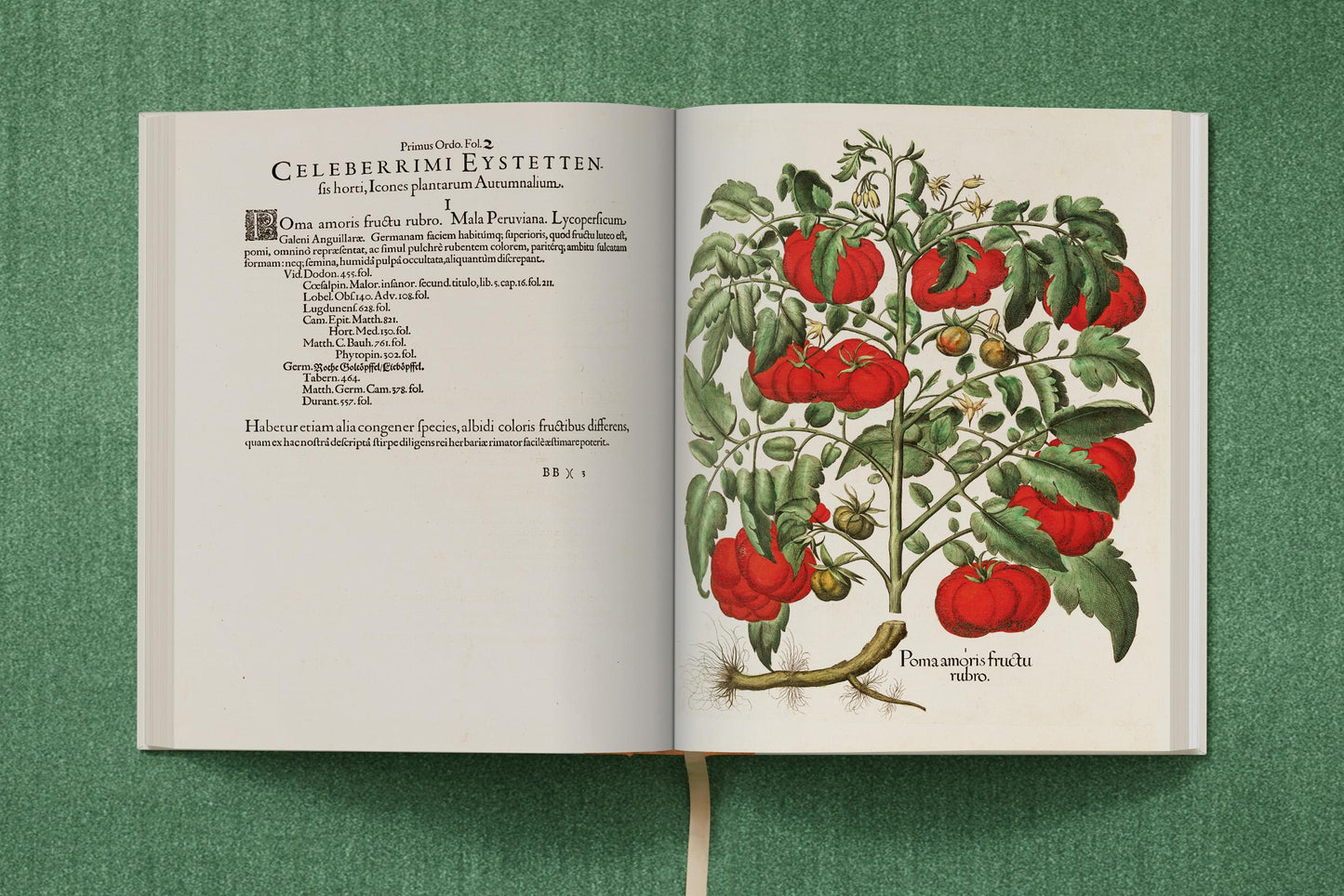 Basilius Besler. The Garden at Eichstätt (German, French, English) (FFE) Book