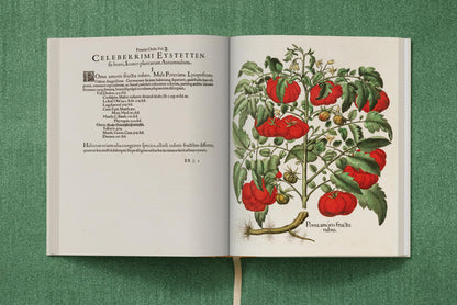Basilius Besler. The Garden at Eichstätt (German, French, English) (FFE) Book
