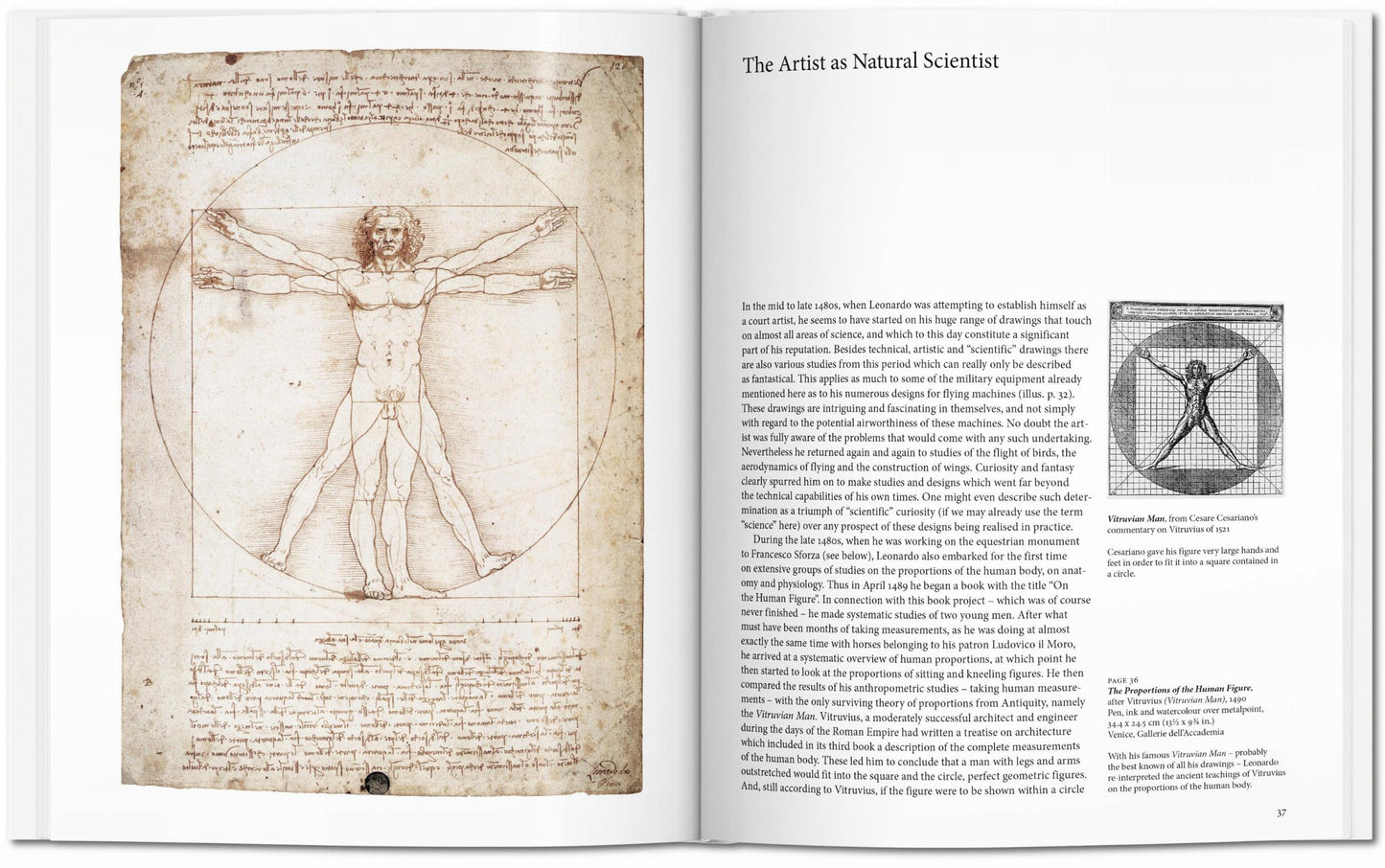 Leonardo (English) Book