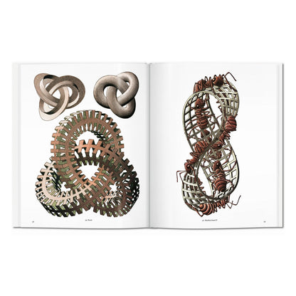 M.C. Escher. The Graphic Work (English) Book