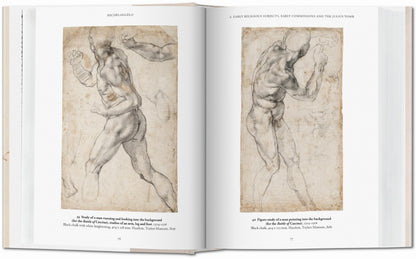 Michelangelo. The Graphic Work (English) Book