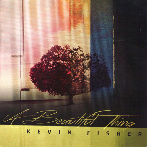 Fisher,kevin - Beautiful Thing - Music CD