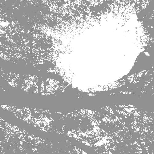 Field Recordings from the Sun [LP] Vinyl Record