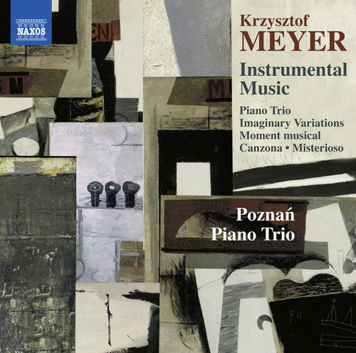 Meyer / Poznan Piano Trio - Instrumental Music - Music CD