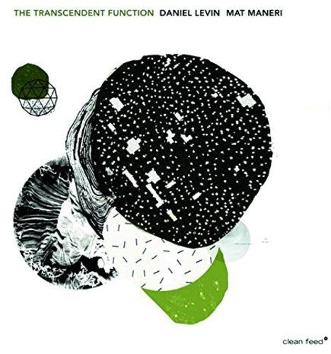 the album cover for Daniel Levin - Transcendent Function